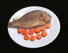 fish