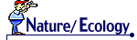 Nature/Ecology