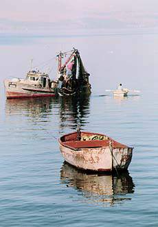 fishing boats