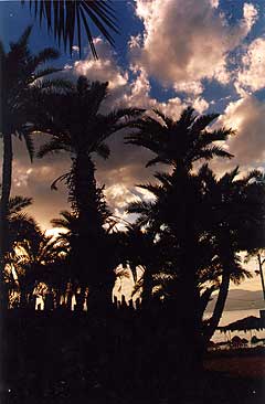 Aqaba Beach Red Sea Sunset