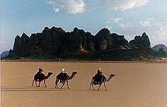 Bedouin Patrol - Zin Desert