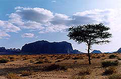 Wilderness of Zin Landscape